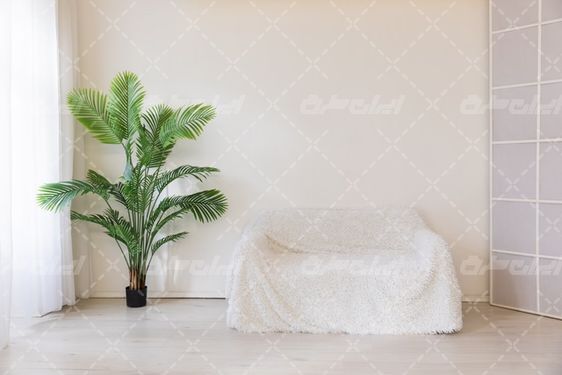 تصویر با کیفیت دکوراسیون داخلی همراه با مبل و گل آپارتمانی