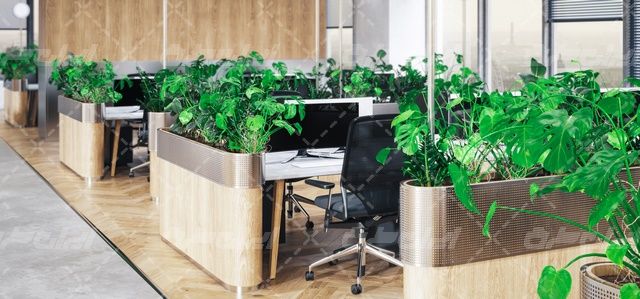 تصویر با کیفیت دکوراسیون داخلی اداری همراه با مبل و گل