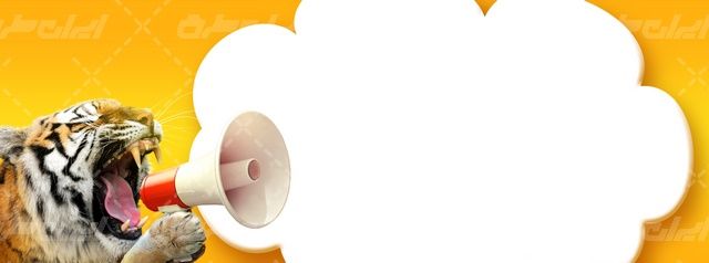 تصویر با کیفیت باغ وحش همراه با حیات وحش و ببر