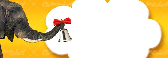 تصویر با کیفیت باغ وحش همراه با حیات وحش و فیل