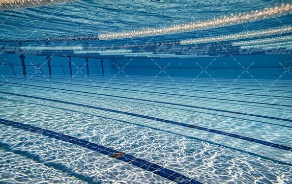 تصویر با کیفیت استخر شنا همراه با ورزش های آبی و استخر ورزشی