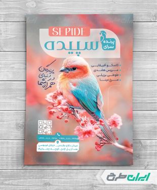 طرح تراکت پرنده سرا