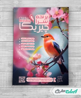 طرح تراکت پرنده فروشی