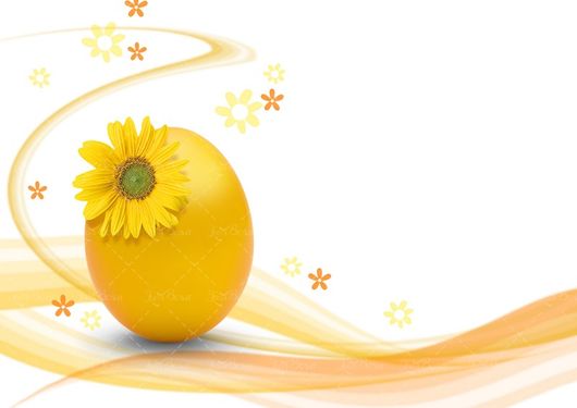 گل بک گراند پس زمینه تخم مرغ رنگی