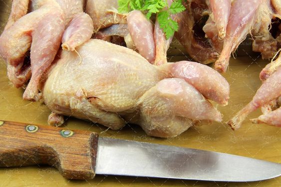 پروتئینی گوشت سفید مرغ چاقوی گوشت بری مرغ فروشی