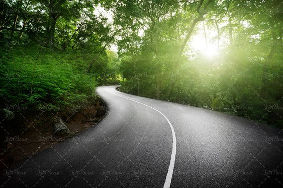 جاده جنگلی جاده آسفالت جاده سرسبز منظره چشم انداز طبیعت راه سازی