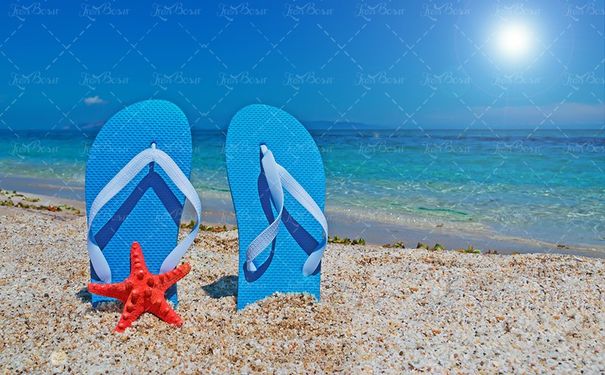 دمپای کفش فروشی کفش راحتی ستاره دریایی ساحل دریا