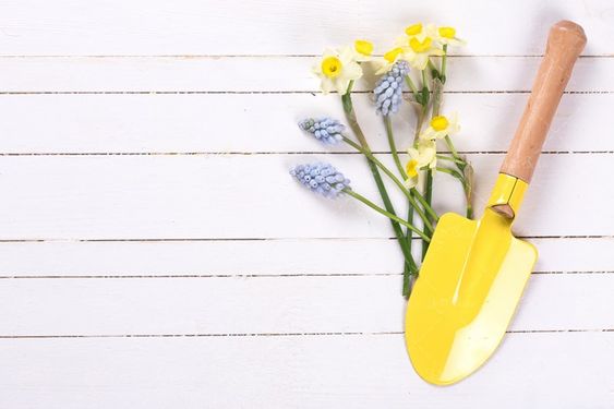 گل ،گل کاری ابزارآلات باغبانی بیلچه
