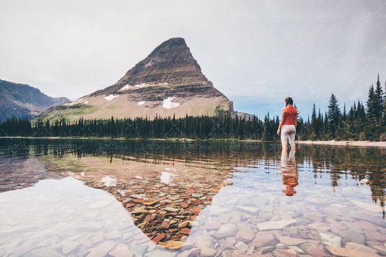 رودخانه  کوه و درخت