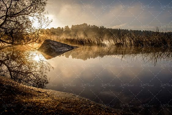 رودخانه نی زار مه