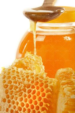 عسل عسل فروشی عسل طبیعی