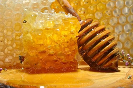 موم عسل عسل طبیعی عسل فروشی