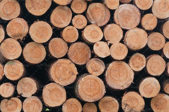 چوب بری نجاری تولیدی چوب 3