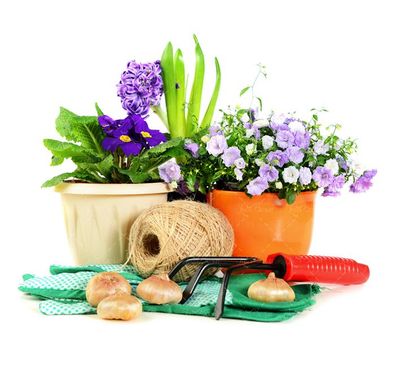 پرورش گل وسایل گل کاری گل طبیعی 2