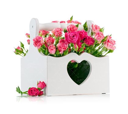 پرورش گل  گل طبیعی غنچه گل