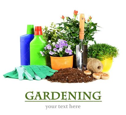 پرورش گل وسایل گل کاری گل طبیعی 5