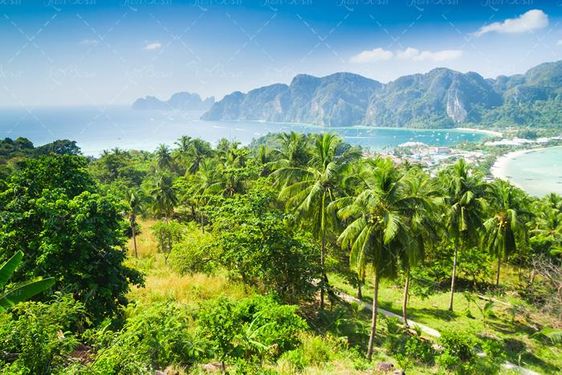 چشم انداز جنگل با درختان سرسبز و کوه های بلند