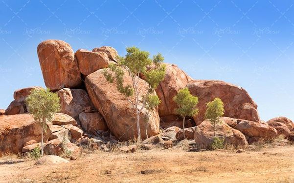 نمایی زیبا درختانی در کنار صخره ی سنگی