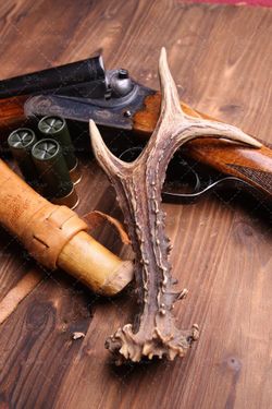 اسلحه شکاری فشنگ  تفنگ شکاری 2