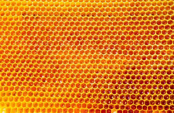 عسل زنبور عسل موم عسل 17