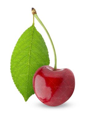 گیلاس میوه فروشی میوه میدان بار 2