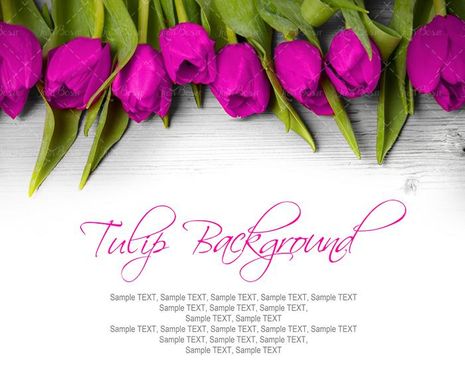 بک گراندبا زمینه ی گل  گل فروشی 3