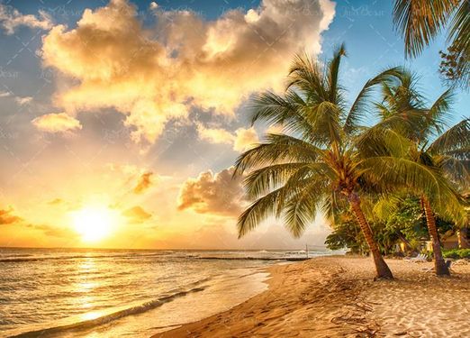 چشم انداز طلوع آفتاب دریا ساحل درخت