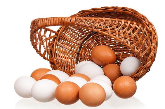 تخم مرغ پروتئینی تخم مرغ محلی 2