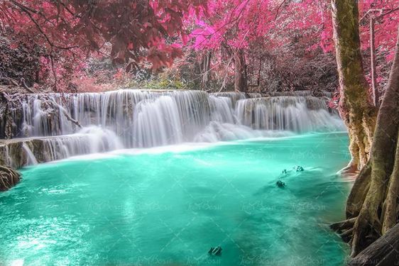 منظره آبشار دریاچه جنگل و درختان بهاری