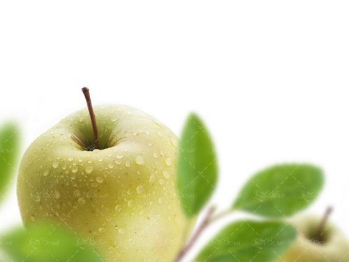 سیب میوه فروشی میوه سیب سبز 17