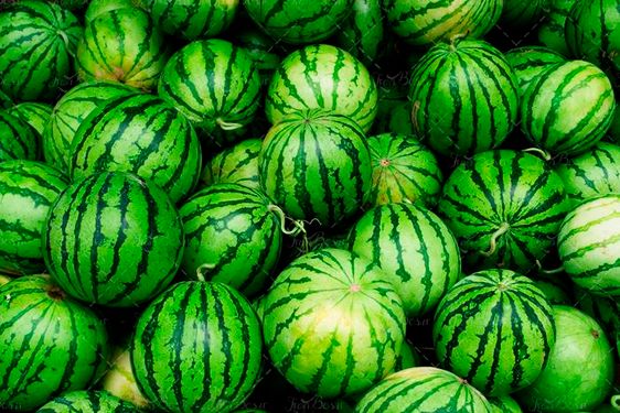 هندوانه میوه فروشی میوه میدان بار 2