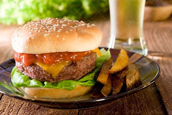 ساندویچ فست فود غذای اماده 15