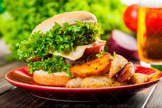 ساندویچ فست فود غذای اماده 19