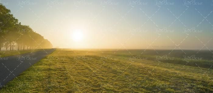 منظره و چشم انداز مراتع سرسبز و راه جنگلی