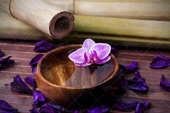 زعفران گل زعفران