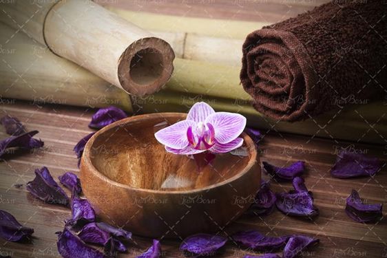 زعفران گل زعفران 2