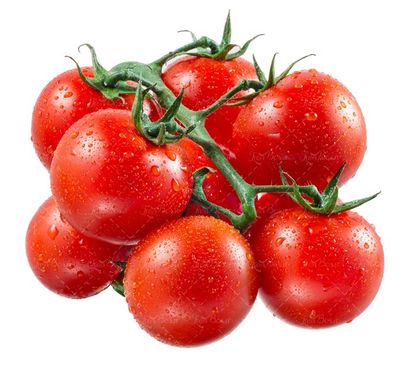 گوجه فرنگی میوه فروشی میوه سرا سوپر میوه 8
