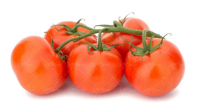 گوجه فرنگی میوه فروشی میوه سرا سوپر میوه 10