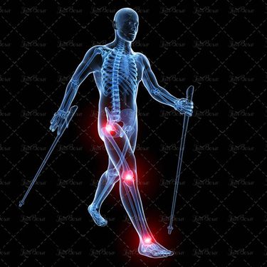 اسکت بدن آناتومی بدن استخوان 2