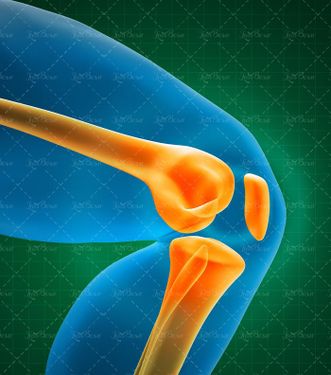 درد زانو فیزیوتراپی ارتوپد درد 2