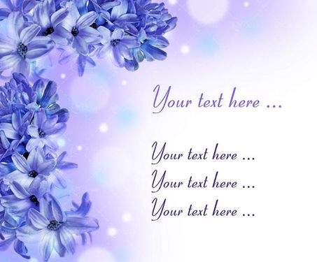 گل فروشی گل طبیعی گل سنبل 2