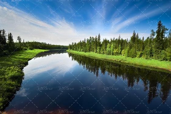 منظره و طبیعت زیبای  جنگل و دریاچه