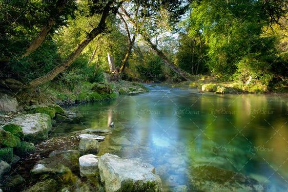 منظره و طبیعت زیبای  جنگل و دریاچه 3