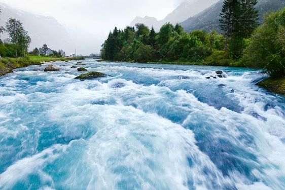 منظره و طبیعت زیبای  جنگل و دریاچه 4