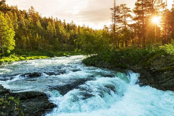 منظره و طبیعت زیبای جنگل و دریاچه 13