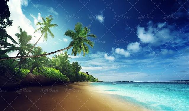 منظره دریا ساحل شن درخت نارگیل آسمان آبی خورشید 2