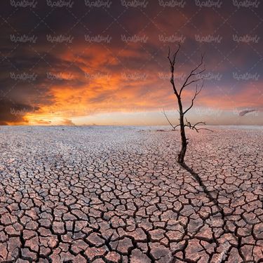 صحرا بیابان کویر زمین ترک خرده