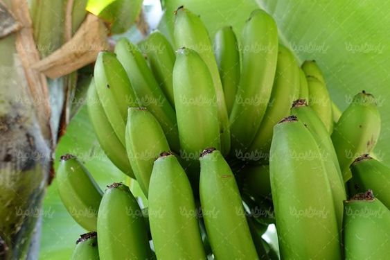 موز میوه فروشی پوست موز سوپر میوه