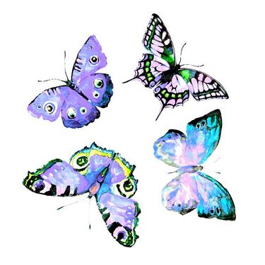 پروانه انواع گوناگون پروانه حشرات