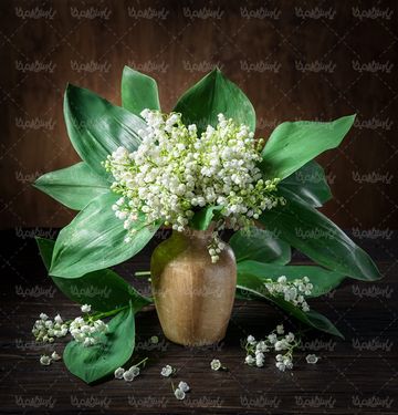 گل گلدان گلفروشی گالری گل و گیاه